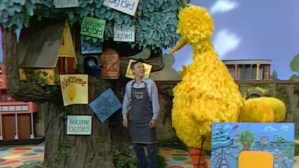 Big bird in the land of makebelieve