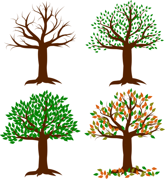 seasons-of-the-year-1994663_1280