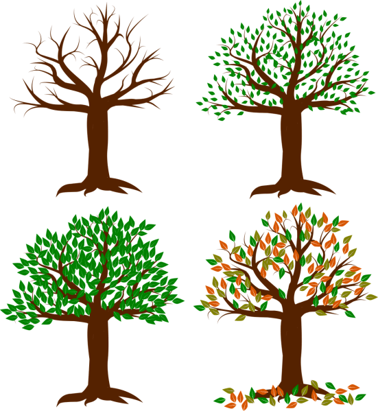 seasons-of-the-year-1994663_1280