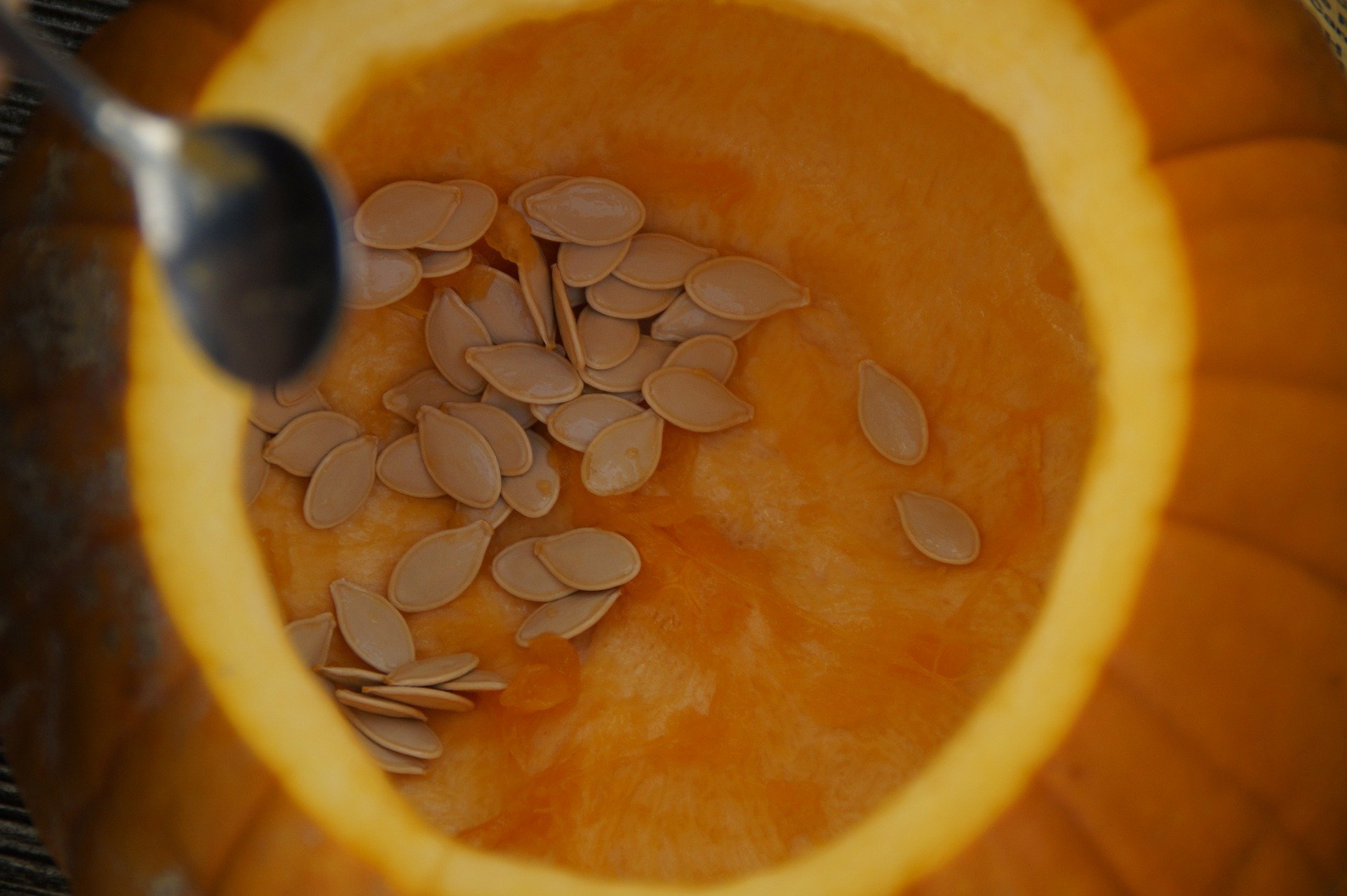 pumpkin-seeds-201098_1920